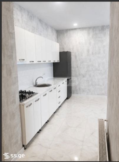 Two-Room Apartment for Rent in Didi Digomi photo 4 of 8