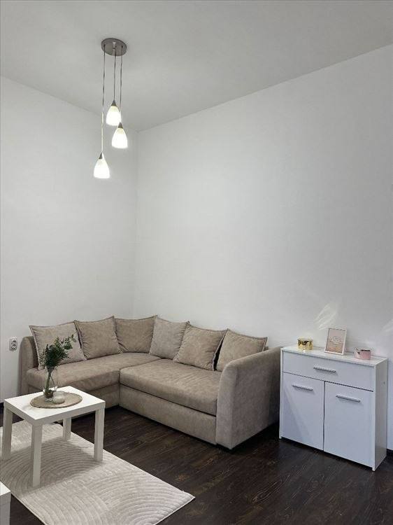 Bright Two-Bedroom Apartment in Savski Venac photo 6 of 8