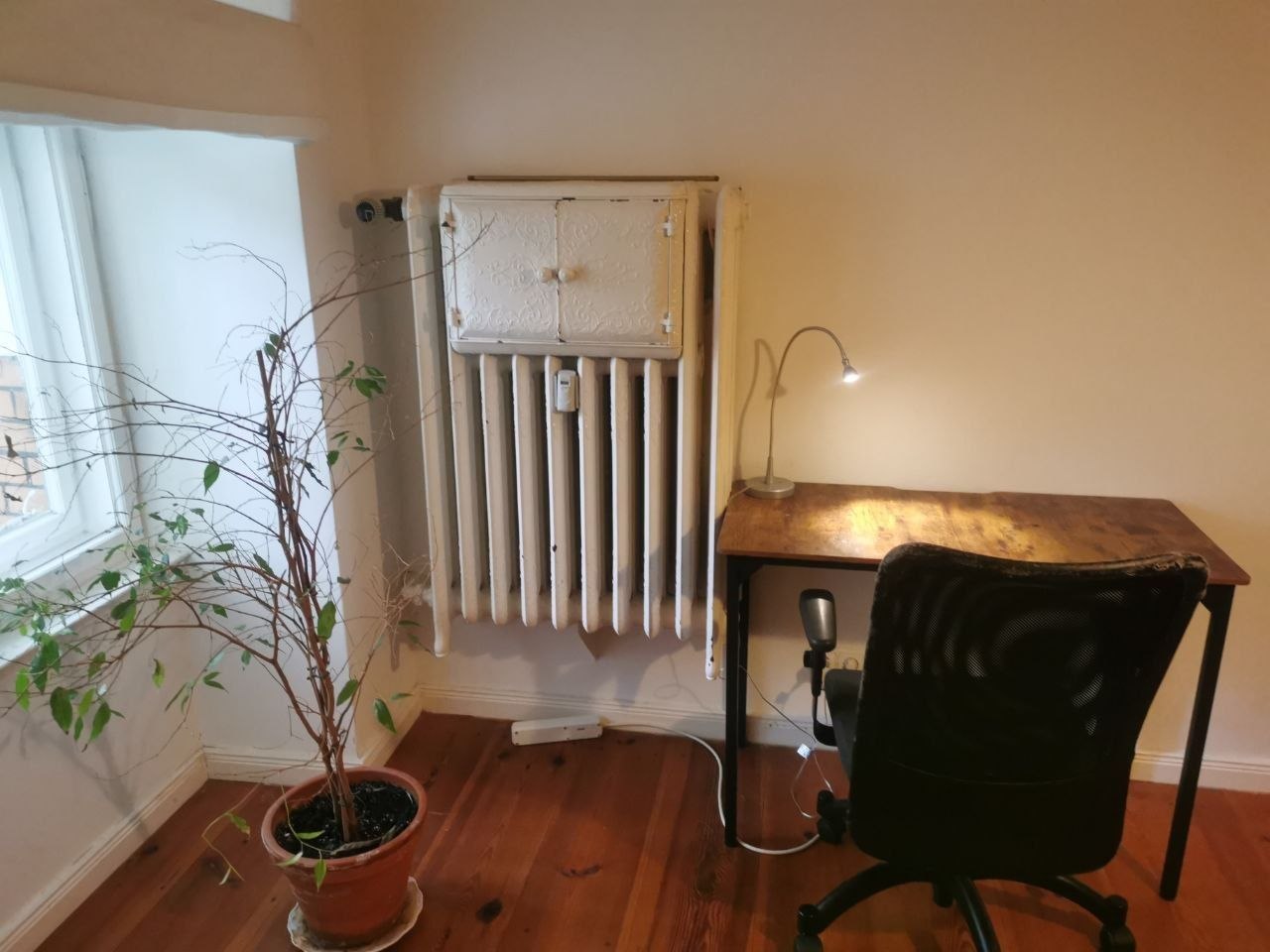 Комната в общей квартире рядом с Ратхаусом Штеглиц photo 5 of 8