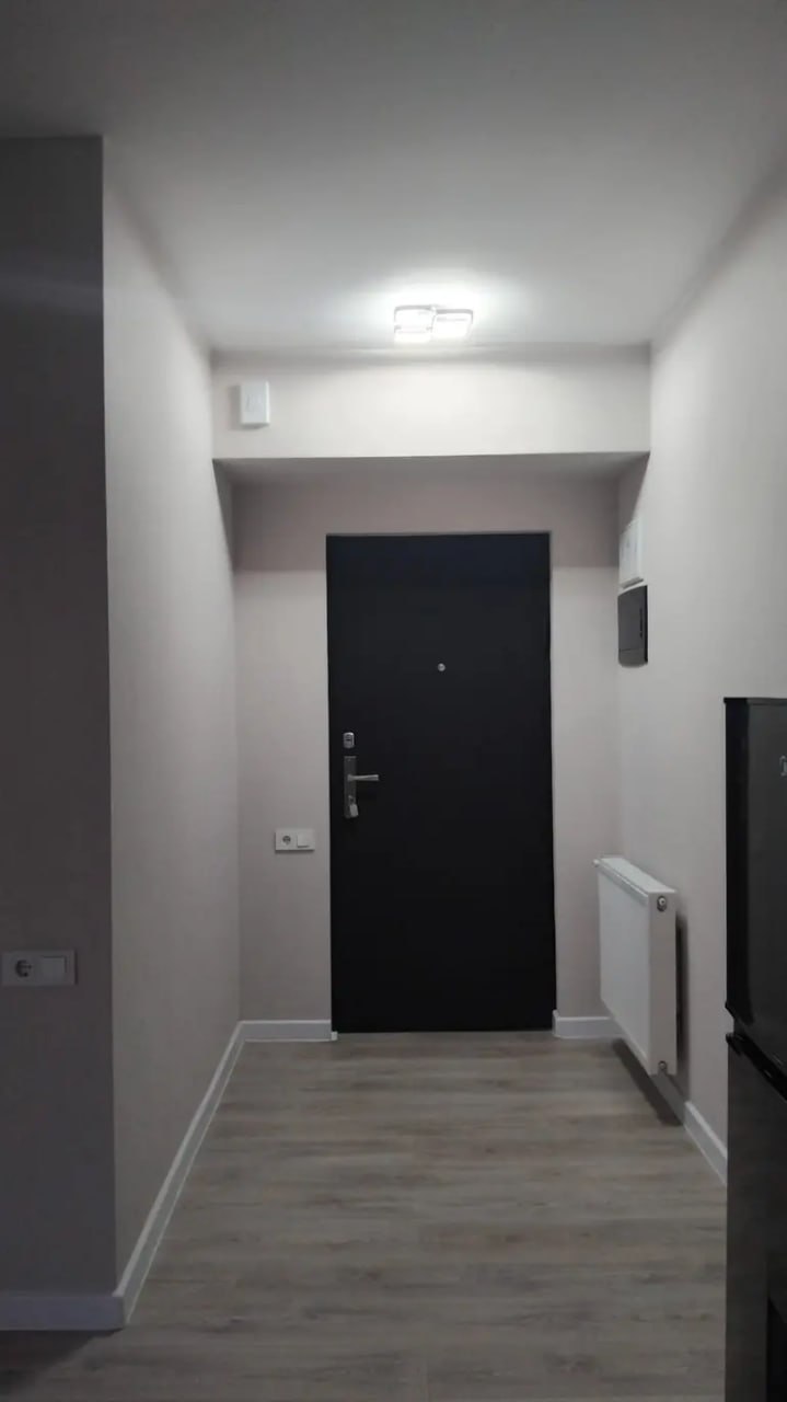 1-Bedroom Apartment for Rent in Digomi photo 6 of 8