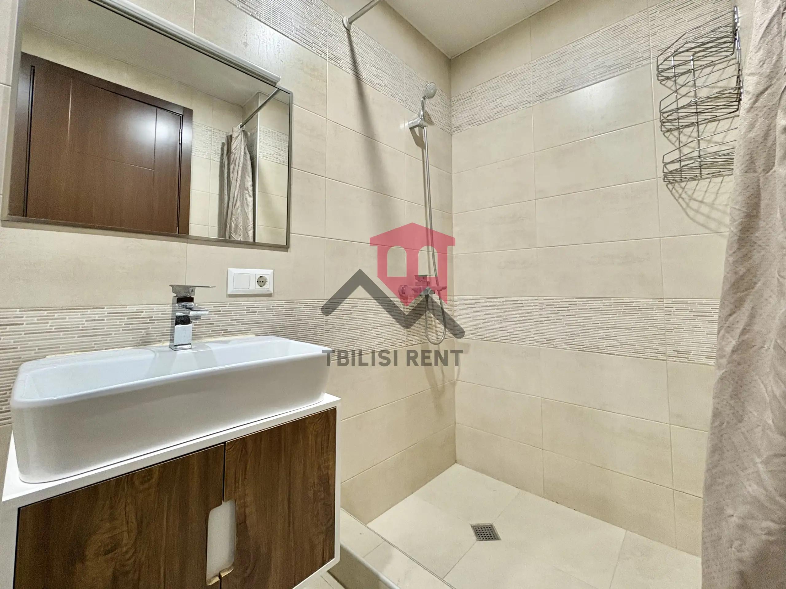 Bright Renovated One-Bedroom Apartment in Isani photo 8 of 8