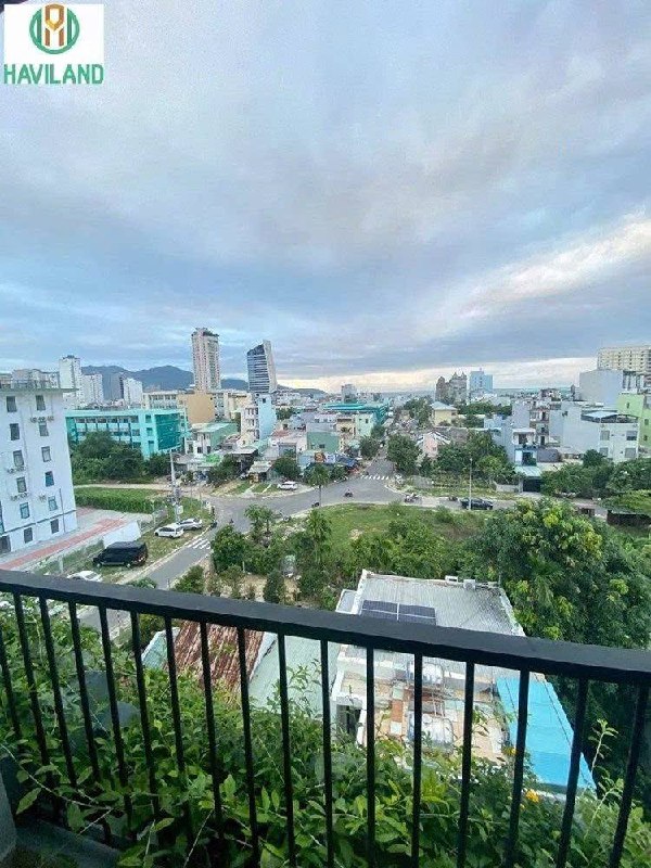 Sunny Studio with Sea View Rooftop in Da Nang photo 1 of 7