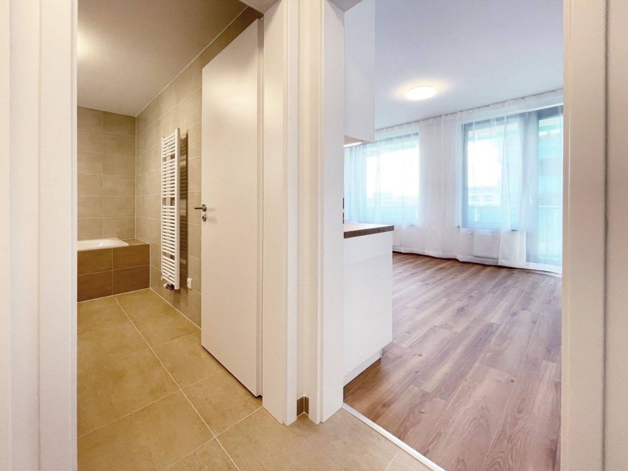 Bright 1+kk Apartment in Žižkov photo 2 of 7