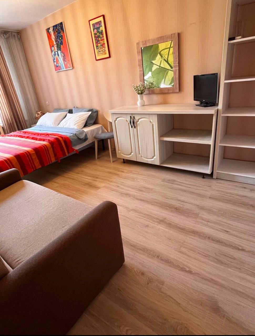 One-Room Apartment in Telecentru photo 4 of 8