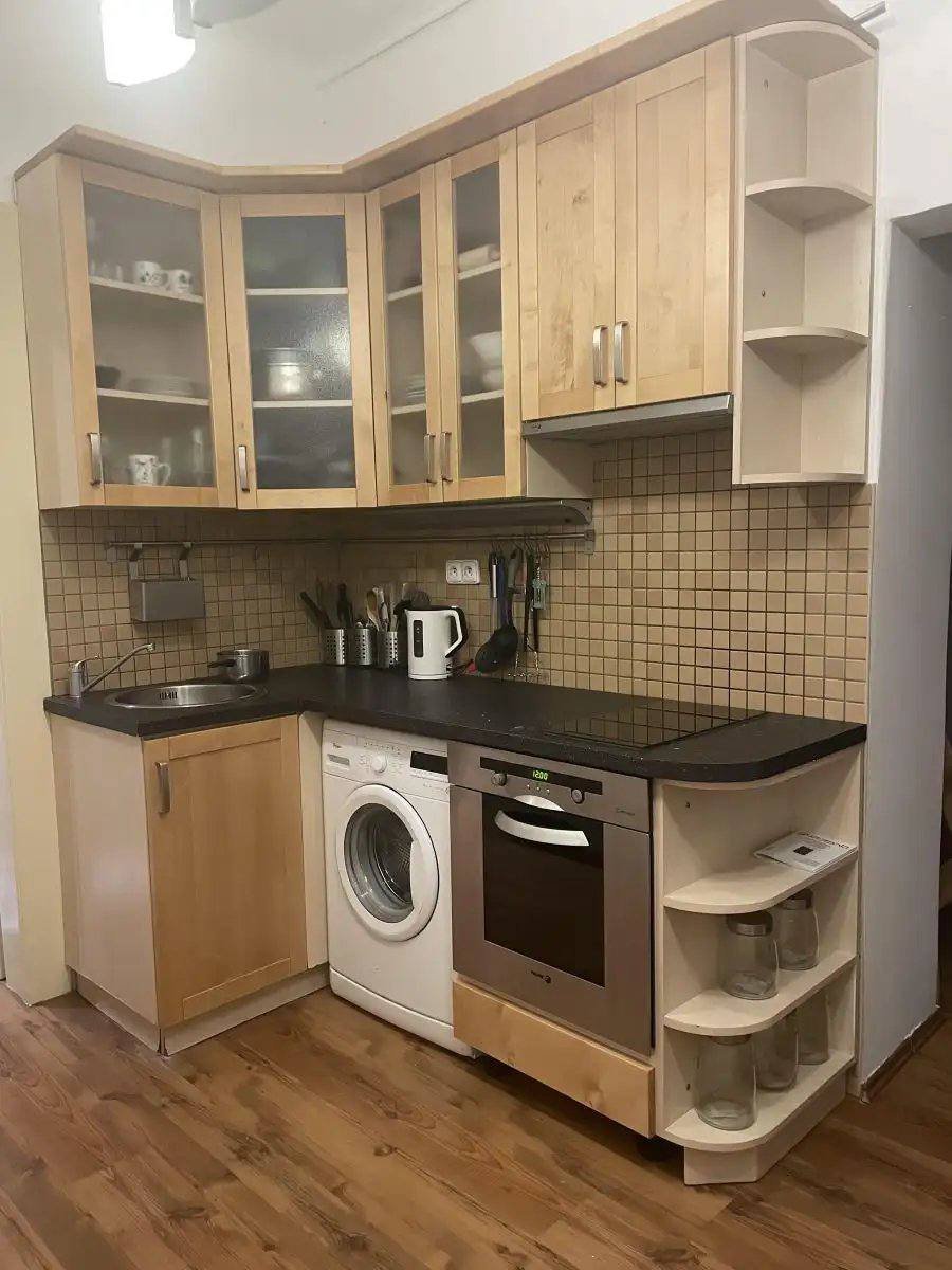 Bright Renovated 1+1 Apartment in Žižkov photo 1 of 7
