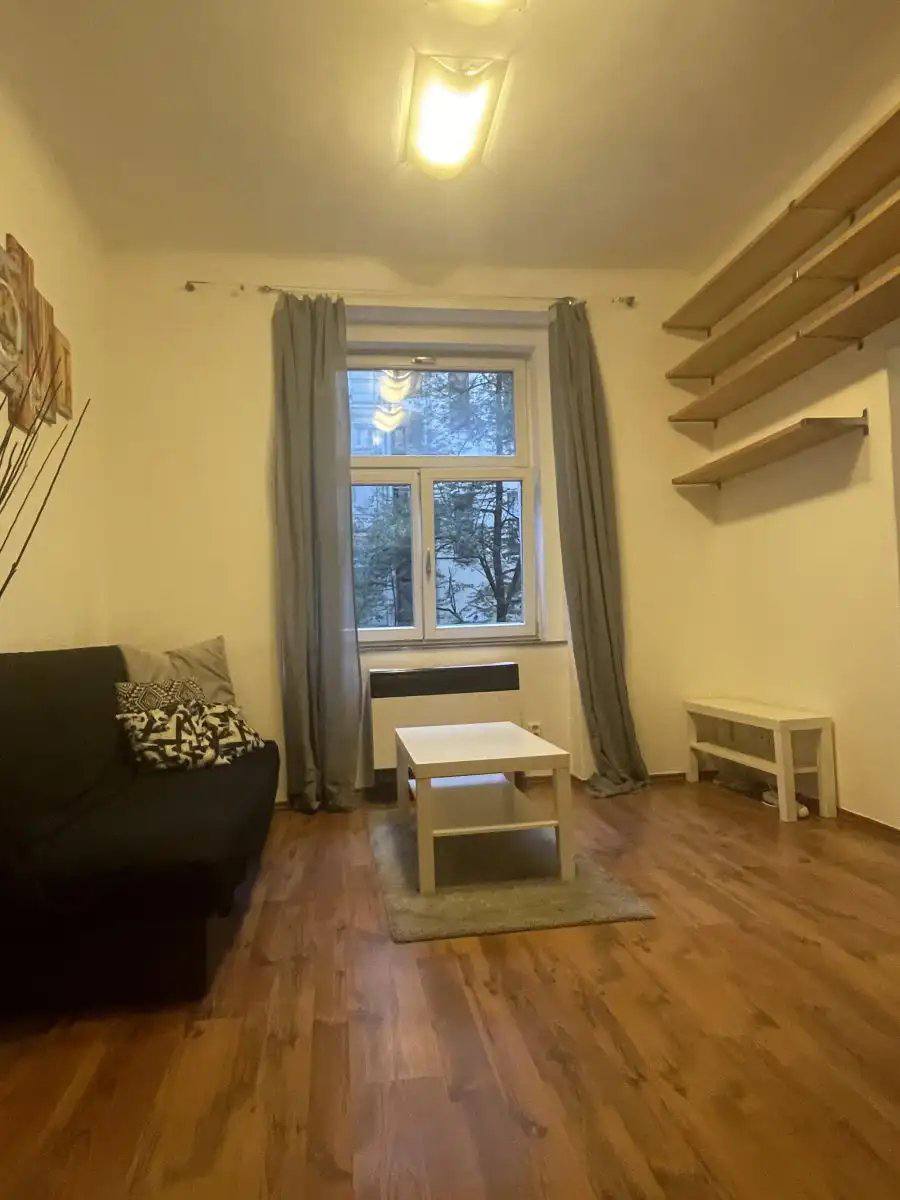 Bright Renovated 1+1 Apartment in Žižkov photo 2 of 7