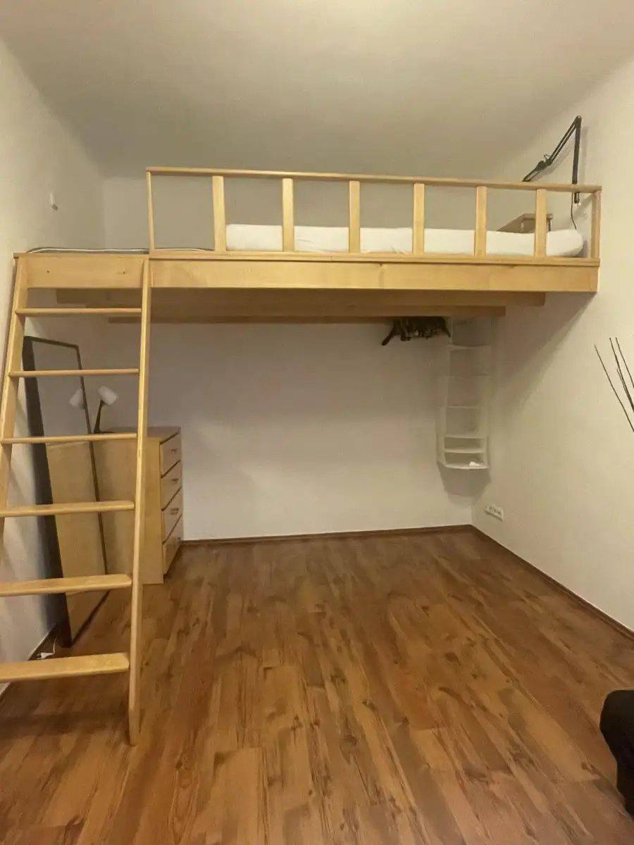Bright Renovated 1+1 Apartment in Žižkov photo 3 of 7