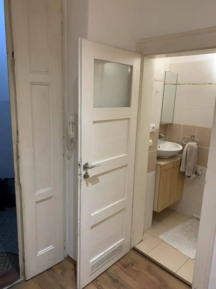 Bright Renovated 1+1 Apartment in Žižkov photo 6 of 7