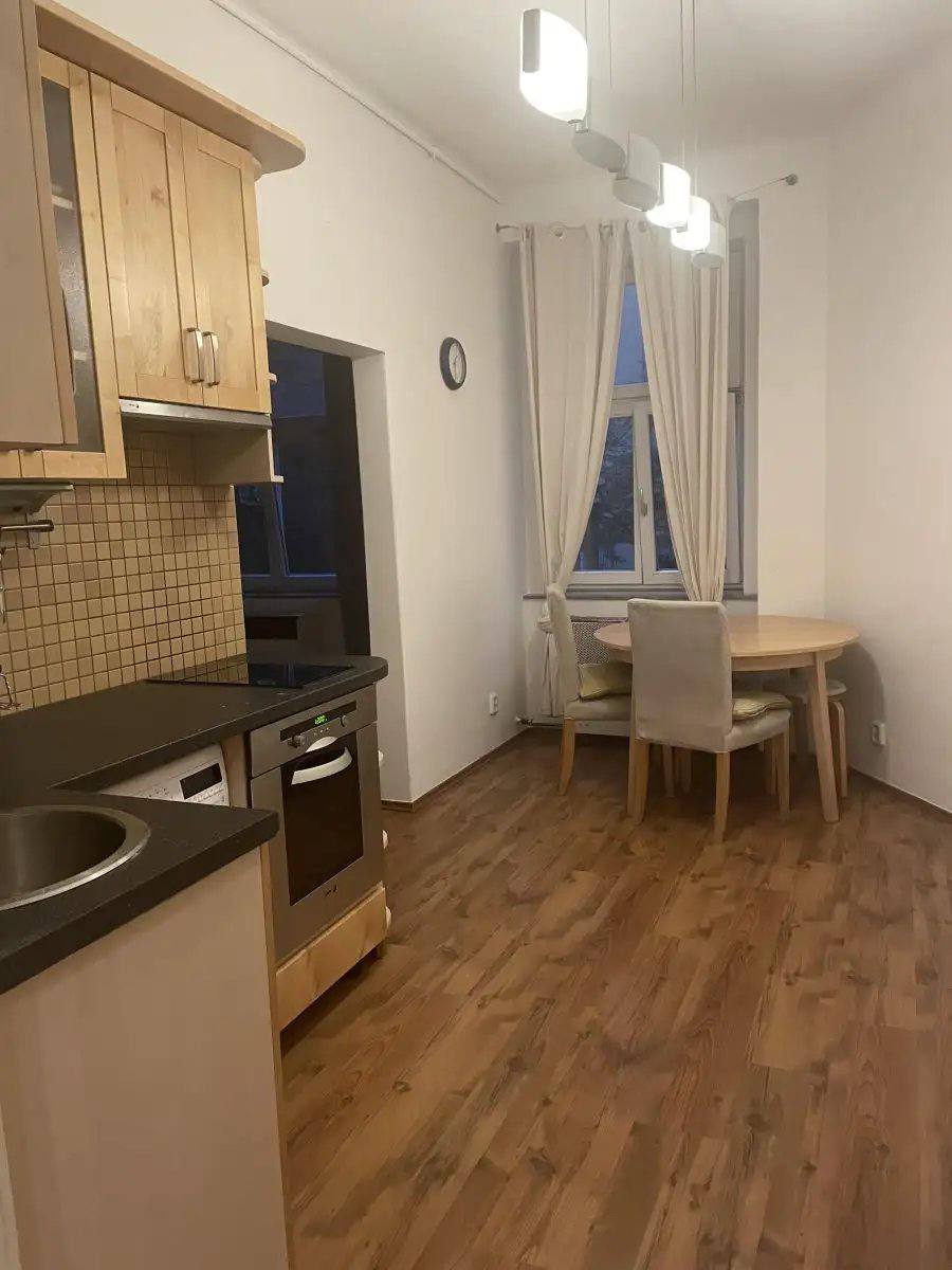 Bright Renovated 1+1 Apartment in Žižkov photo 7 of 7