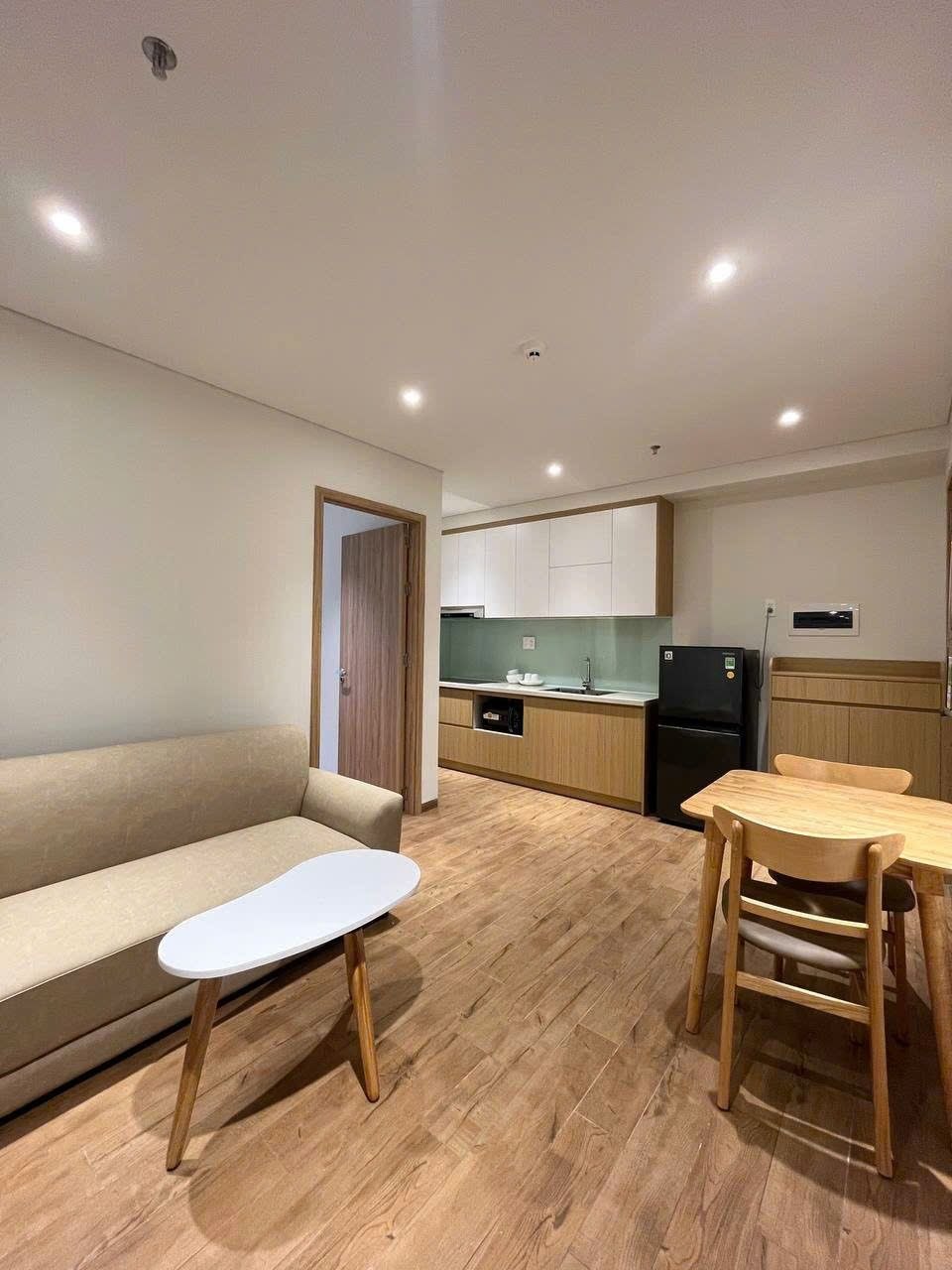 Brand-New 1-Bedroom Apartment in Da Nang photo 5 of 8