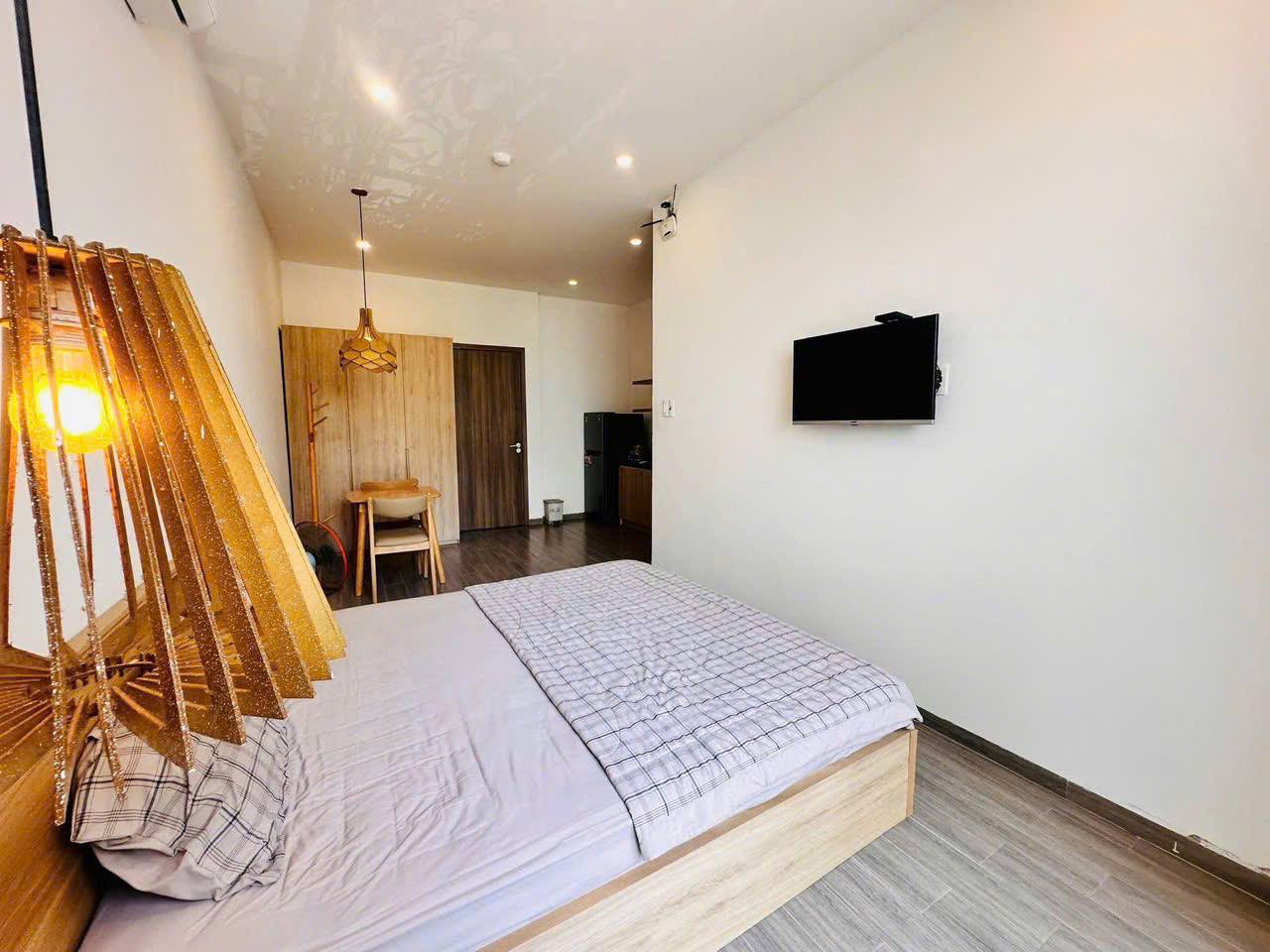 Furnished Studio Apartment in Son Tra photo 2 of 7