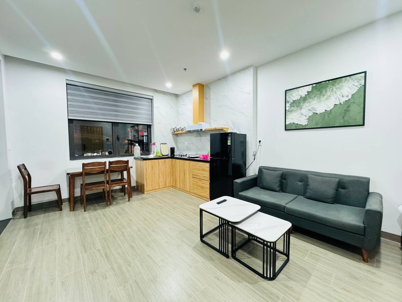 Furnished 1-Bedroom Apartment in Son Tra photo 4 of 8