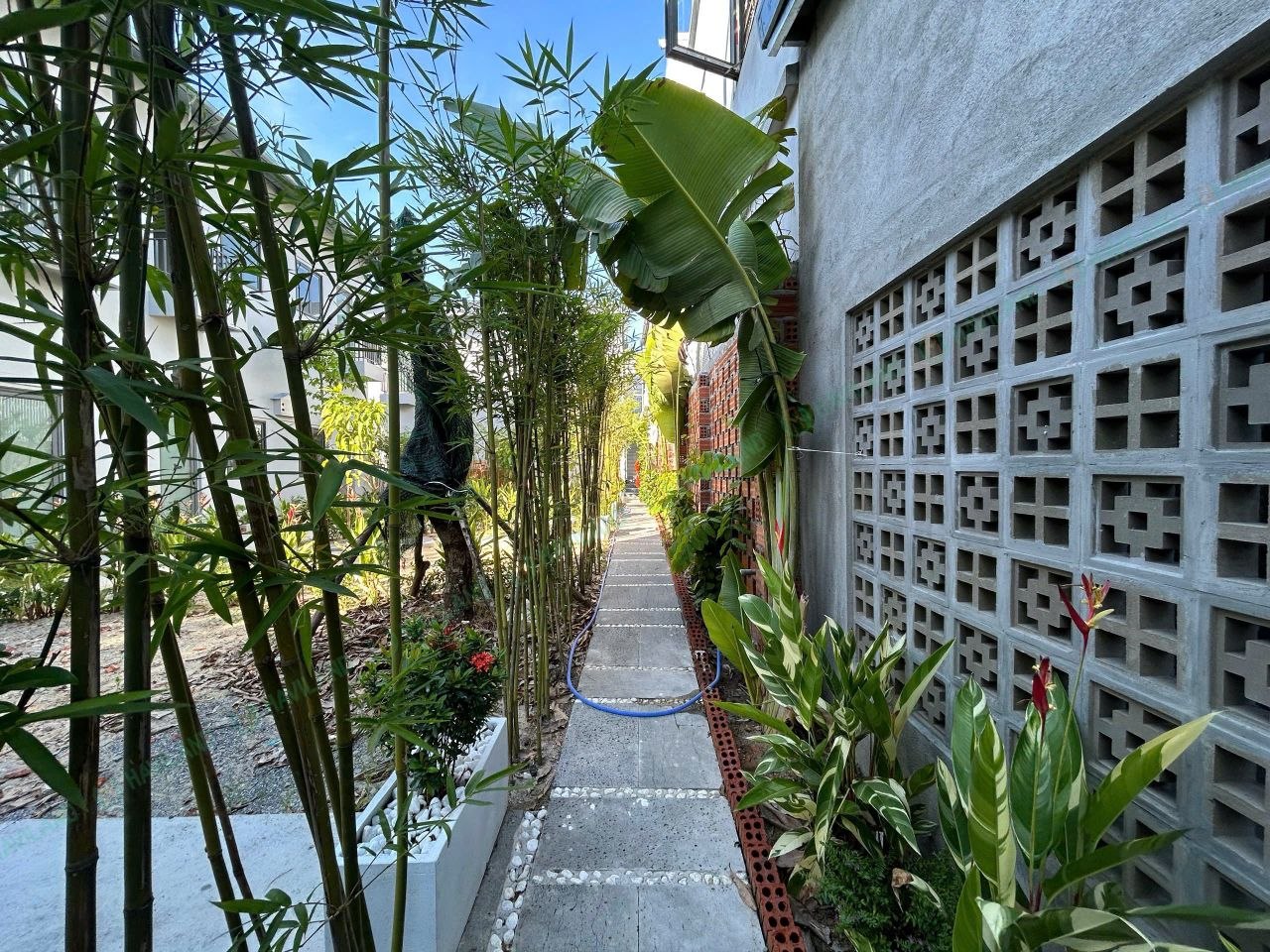 Furnished Pet-Friendly Studio in Ngu Hanh Son photo 1 of 8