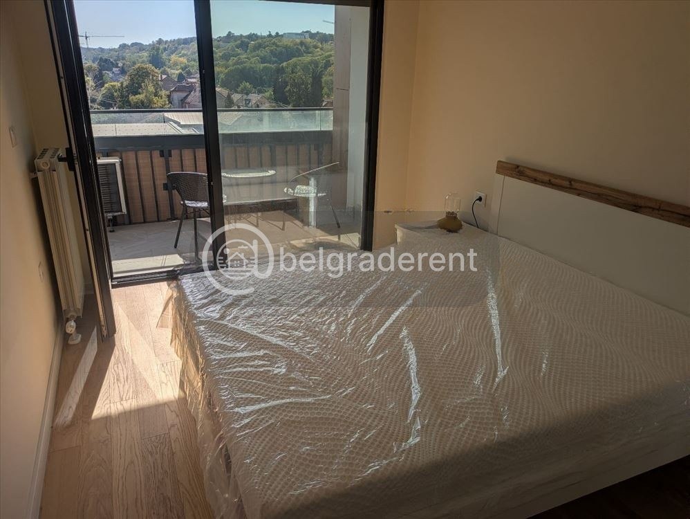 Two-Room Apartment in Zemun photo 6 of 8