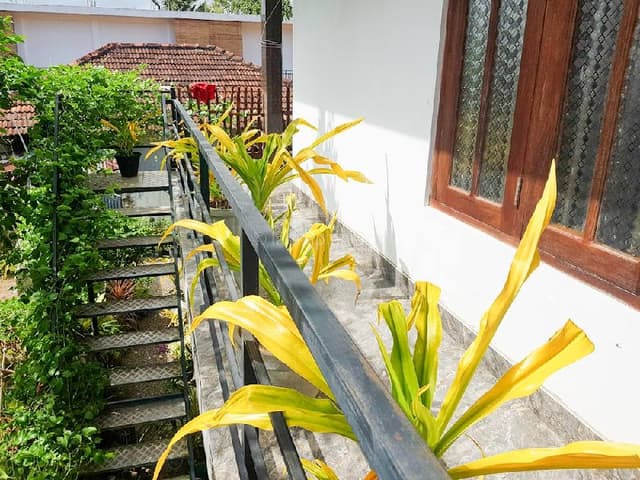 3-Bedroom Apartment Near Jungle Beach
