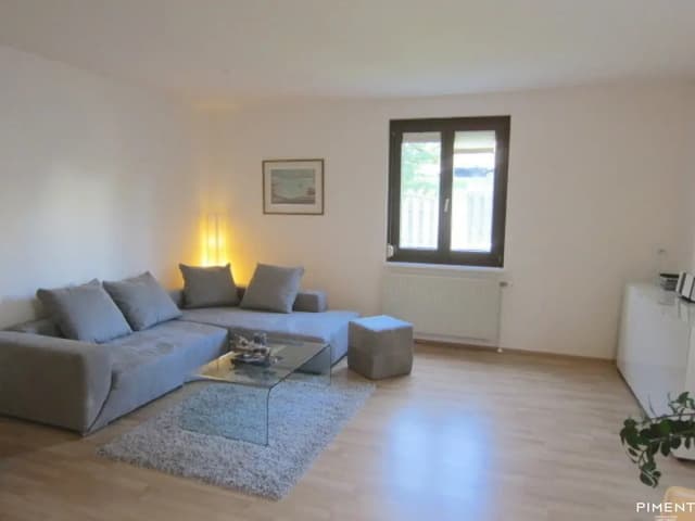 One-Room Apartment in Baden