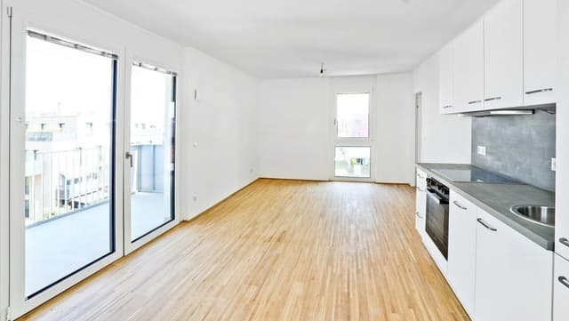 Two-Room Apartment in Vienna's 22nd District